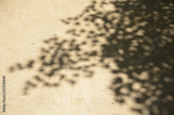 Obraz 夏の日の木陰