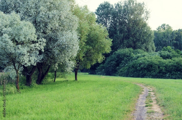 Fototapeta Entrance, footpath in a green park Nesvizh, Belarus.
