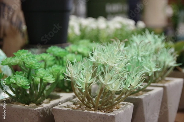 Obraz フェイクグリーン