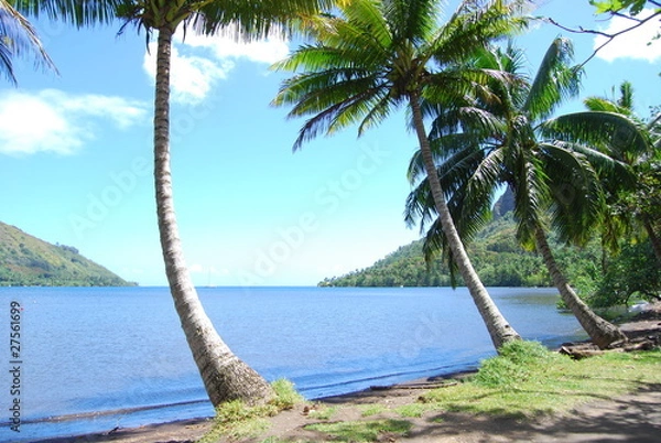 Obraz Playa en Moorea