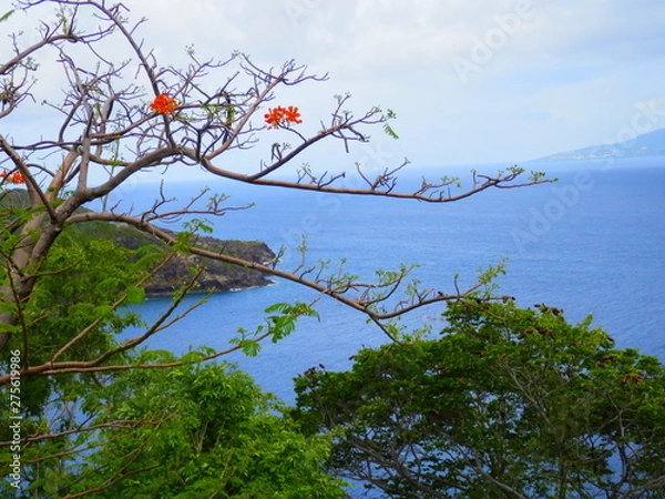 Fototapeta OLYMPUS DIGITAL CAMERA