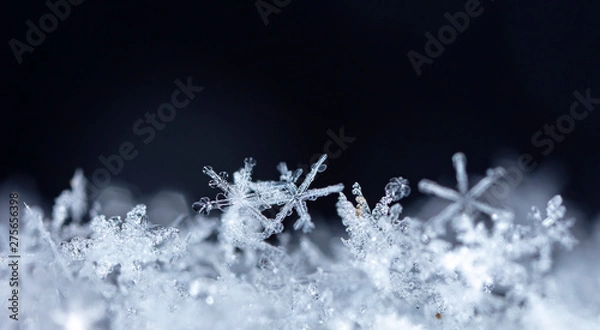 Fototapeta natural snowflakes on snow. the picture is made at a temperature of-10 C 