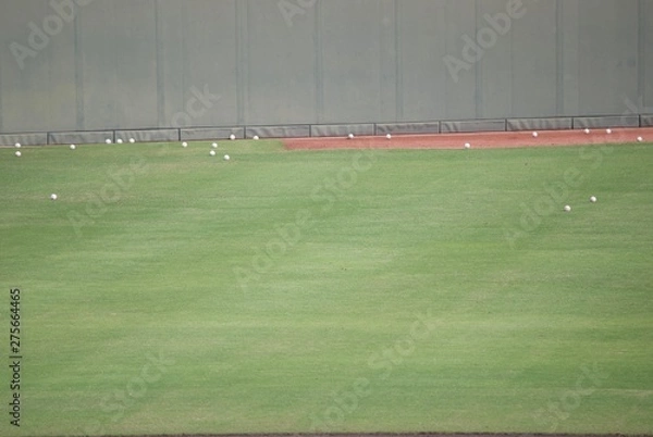 Fototapeta 白球とグラウンド