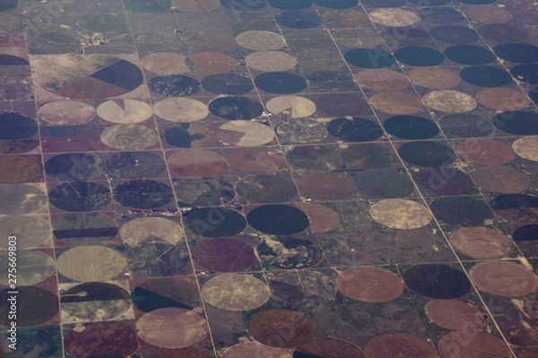 Fototapeta High aerial view of the crop circles created in farm fields by center pivot sprinklers