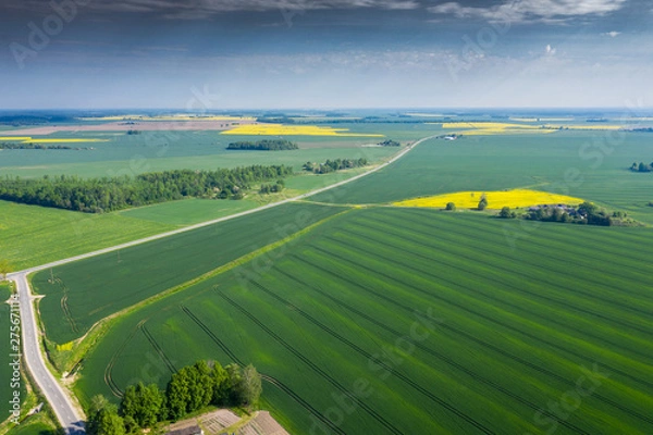Fototapeta Agricultural fields in spring time.