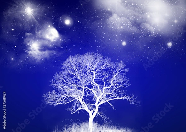 Obraz White Tree with Night Sky
