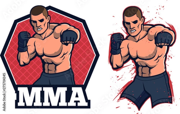 Obraz MMA Fighter with replaceable Gloves