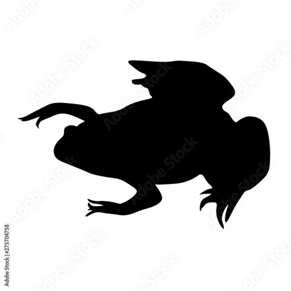 Fototapeta African Clawed Frog Silhouette Isolated On White