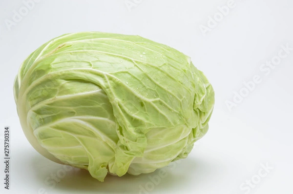 Fototapeta キャベツ