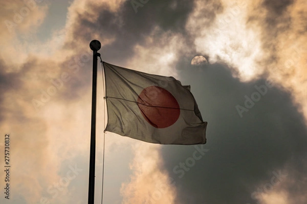 Obraz 【日章旗】・日本・国旗