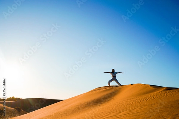 Fototapeta Warrior Pose