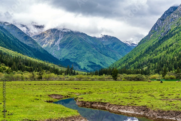 Fototapeta Sichuan Siguniang Mountain (Siguniang Mountain) Shuangqiaogou is located in Sichuan, China, with beautiful scenery, rocky peaks and colorful trees