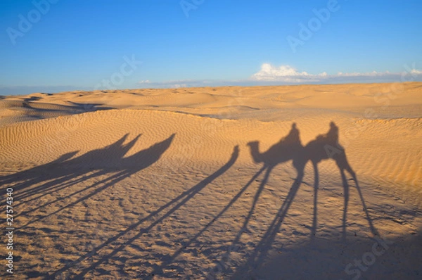Fototapeta Shadow of caravan on the Sahara desert sand