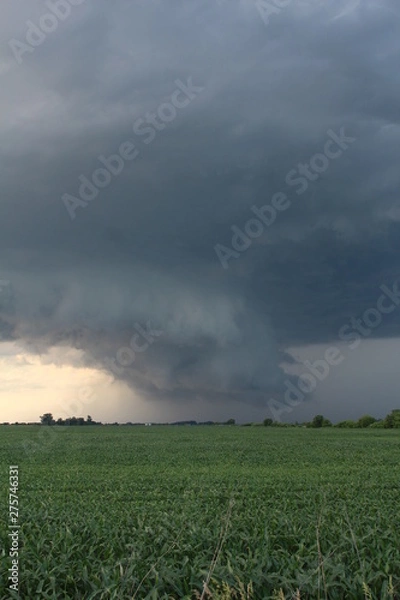 Fototapeta Storm Chasing 2019