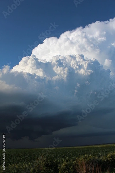 Fototapeta Storm Chasing 2019