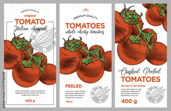 Fototapeta Tomato ketchup, sauce, juice badge label design set. Vector hand drawn illustration of ripe tomatoes in engraving technique. Stylish vintage templates for tomato sauce packaging. 