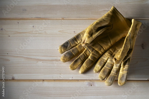 Obraz working gloves
