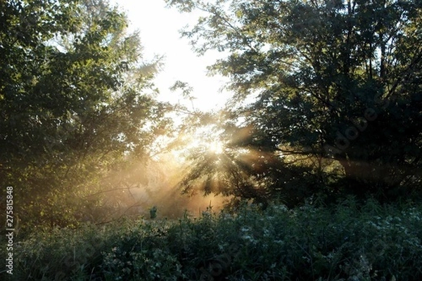 Obraz Восход солнца