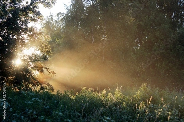 Obraz Восход солнца