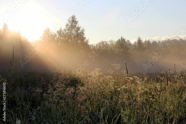 Obraz Солнце в тумане