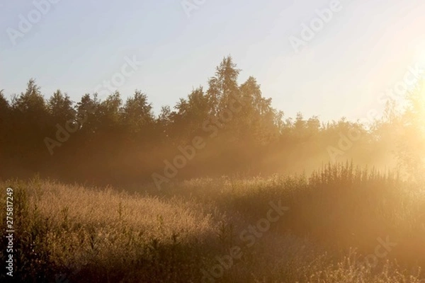 Obraz Туманное утро