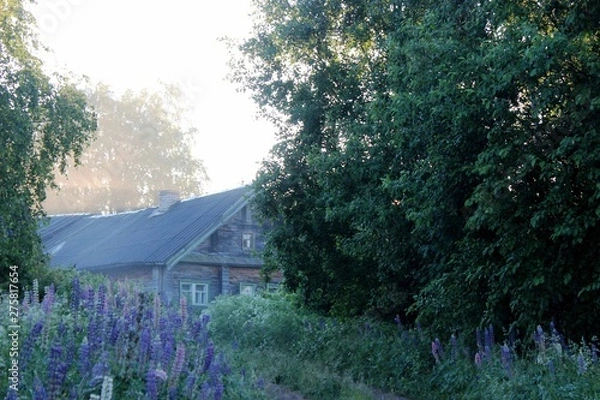 Obraz Туман над деревней