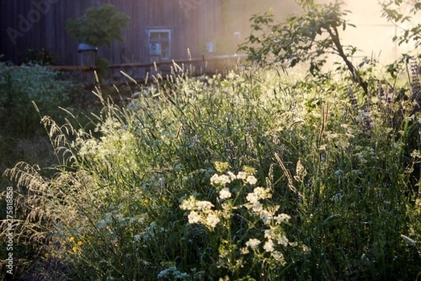 Obraz Утро в старой деревне