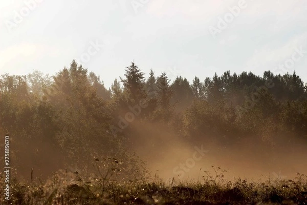 Obraz Утренний туман