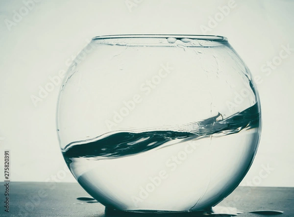 Obraz glass vase with water and spray. glass container. aquarium