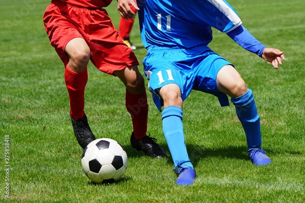 Fototapeta サッカー　フットボール