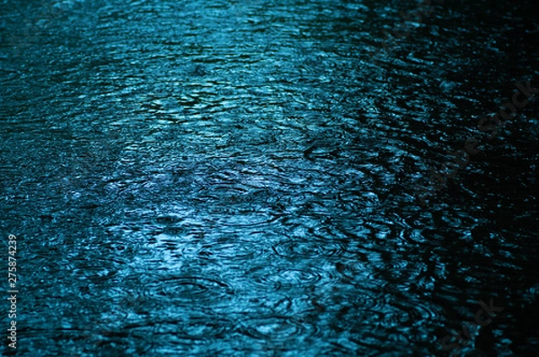 Obraz 雨の日の水紋