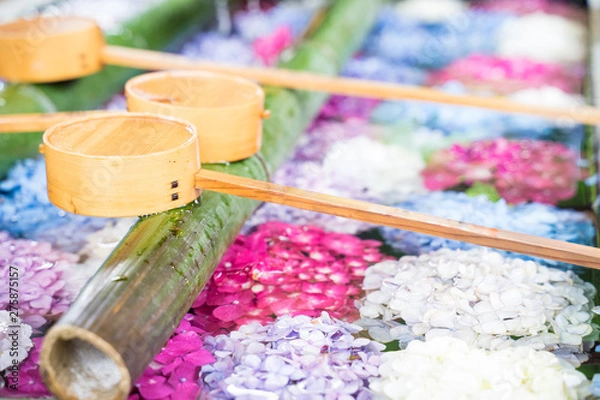 Fototapeta アジサイ 紫陽花　手水舎　Hand water house