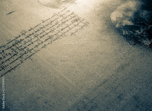 Obraz Anatomy Art Drawing