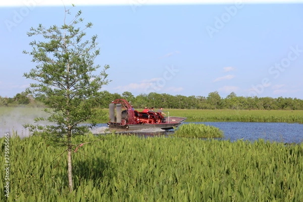 Obraz Airboat