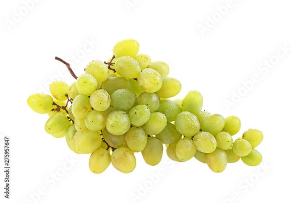 Obraz Bunch of grapes with water drops isolated on white background