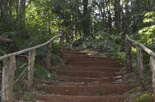 Obraz Nature