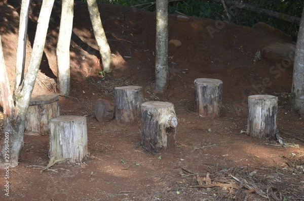 Obraz Nature