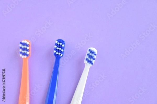 Fototapeta Colorful toothbrushes with selective focus on blurred purple background. Dental tools for daily teeth protection. Multicolored plastic toothbrush with bright bristles with soft focus. Oral hygiene 