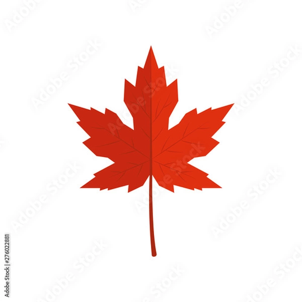 Obraz Red vector maple leaf in flat style