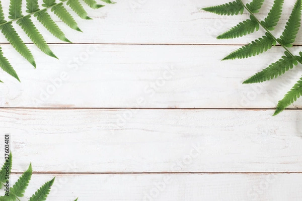 Fototapeta Mock up, Fern leaf on white wooden plank background, minimalist