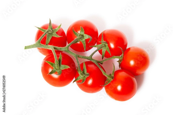 Obraz ミニトマト