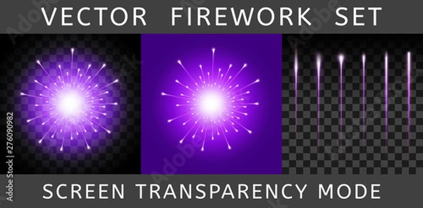 Obraz Vector Bright Colorful Violet Firework