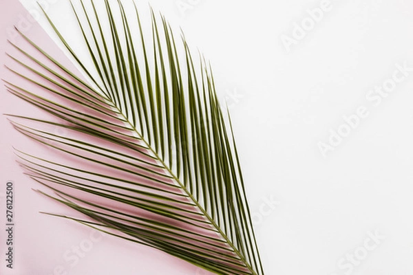 Fototapeta Flat lay of tropical leaves with copyspace