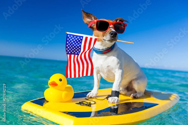 Obraz surfer dog  at the beach