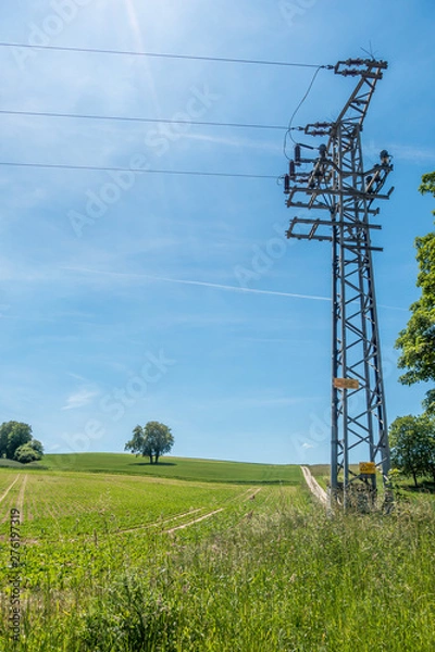 Fototapeta Stromast im Feld im Sommer