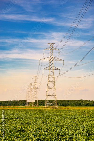 Obraz Power transmission lines and towers in the field in countryside