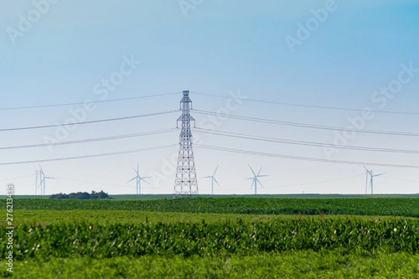 Obraz Power transmission lines and towers in the field in countryside