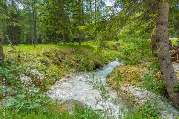 Fototapeta Bach im Wald