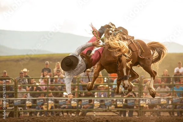 Obraz Bronc Riding