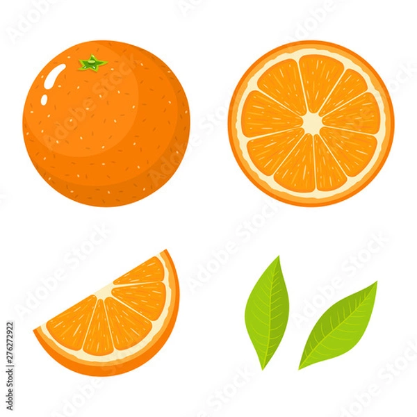 Obraz Zbiór świeżych, całe, pół, pokrojone plastry i liście pomarańczy na białym tle. Mandarynka. Owoce organiczne. Styl kreskówki. Ilustracja wektorowa dla dowolnego projektu.